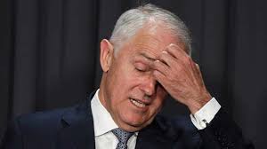Image result for malcolm turnbull