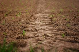 what type of soil is best for farming
