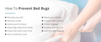 Prevention Treatment Of Bed Bugs