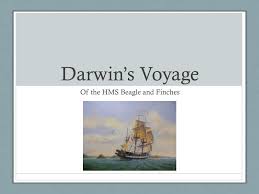 ppt darwin s voyage powerpoint
