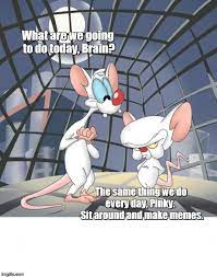 The quote is from me…a variation of what is said on the show. Pinky And The Brain Memes Gifs Imgflip