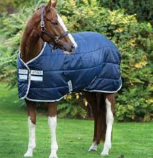 amigo insulator le horse rug