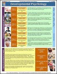 Developmental Psychology 8 5x11 Laminated Chart National