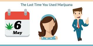 Maybe you would like to learn more about one of these? Use Marijuana Detailed Guide To Get Life Insurance Infographic