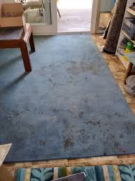 carpet cleaning rochester ny