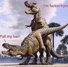 Dinosex : rfunny