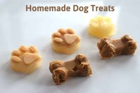 frozen dog treats 4 healthy homemade