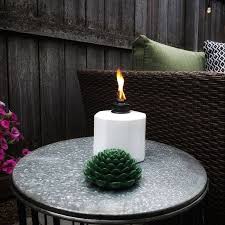 Succulent Glass Tabletop Outdoor Torch