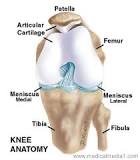 Image result for icd 10 code for right medial femoral condyle fracture