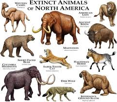 Fine Art Illustration Of Some Species Of Extinct Mammals Of