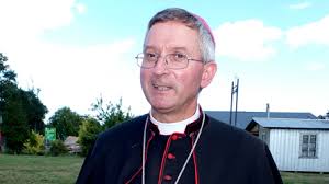Obispo de Villarrica, Francisco Javier Stegmeier