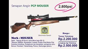 Apa itu senapan angin pcp. Kelebihan Dan Kekurangan Senapan Pcp Mouser By Amir Sniper Aceh