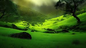images of green scenery backgrounds hd