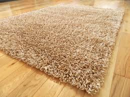 carpet rug shoo cleaner deodoriser