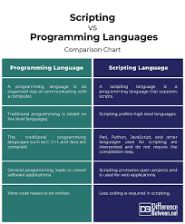 Difference Between Scripting Language And Programming