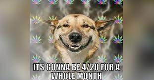 The best memes from instagram, facebook, vine, and twitter about happy 420. 4 20 All Month Memes To Celebrate April 2020 Hilarious Memes Inside