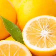 Van Zyverden Lemon Citrus Tree