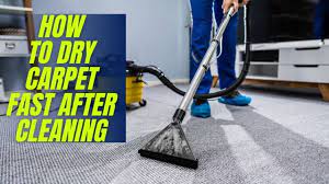 How To Dry Carpet Fast After Cleaning Get Prompt Results - YouTube
