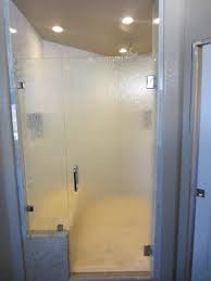 Shower Door And Panel