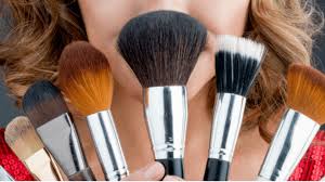 beauty basics makeup brush guide