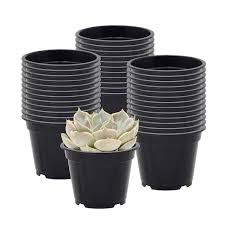 Black Plastic Standard Grow Pot