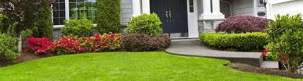 Lawn Care Maintenance Services Irving R R Grass Cutting