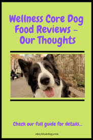 Wellness Core Dog Food Reviews Our Thoughts Stop That Dog