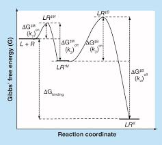 Thermodynamic Ligand Binding Parameters