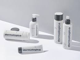 dermalogica the best s and