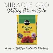 miracle gro potting mix just 6 47 per