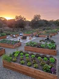 raised garden beds with organic soil