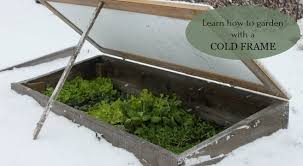 Learn How To Garden With A Cold Frame