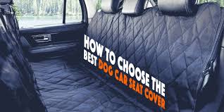 10 Best Dog Car Seat Covers For Suvs