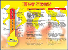 Safety Posters Heat Stress