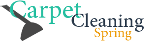 carpet cleaning spring carpet