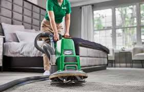 do i need professional carpet cleaning
