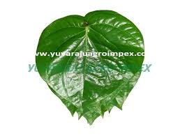 customized ng of betel leaf