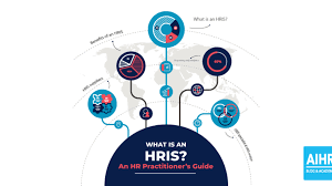 Information systems supply tools and information needed by the managers to allocate,coordinate and monitor their work, make decision,create many different types of report are produced in mis. What Is An Human Resources Information System Hris A Full Guide