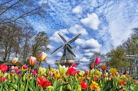 the netherlands most beautiful spring