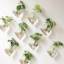 Wall Hanging Glass Planter Plant Flower