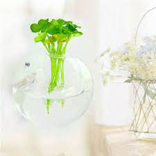 Glass Ball Water Planter Wall Vase
