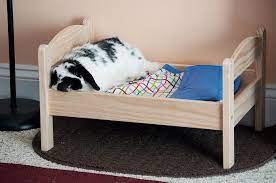 Where Do Rabbits Sleep Bunny Beds