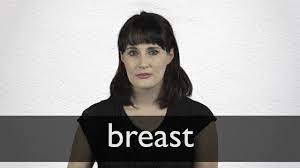 Breasts traduccion