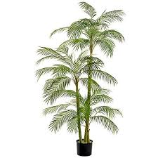 76 Inch Areca Palm Tree In Plastic Pot