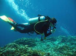 scuba diving in moalboal cebu planet