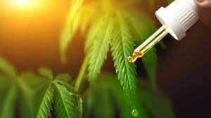 Does CBD Oil Have Thc In It