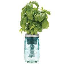 Mason Jar Planter Self Watering Planter