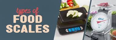 which type of food scale do you need