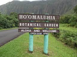 ho omaluhia botanical garden