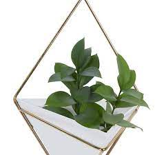 Indoor Outdoor Triangle Wall Planter